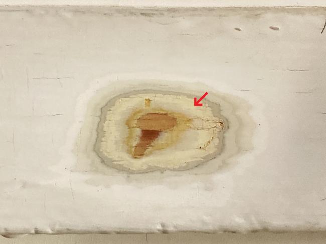 仁風閣塗装履歴