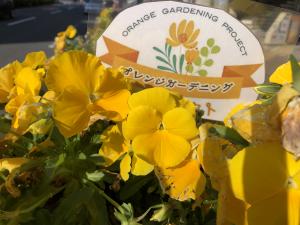 orangegardening2023_5