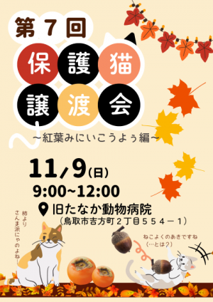 【表面】第七回保護猫譲渡会