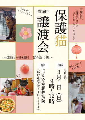 第十回保護猫譲渡会