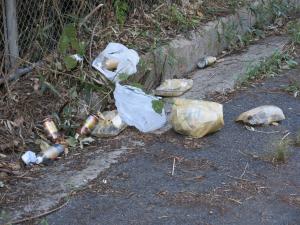 智頭町合同パトロールの様子２