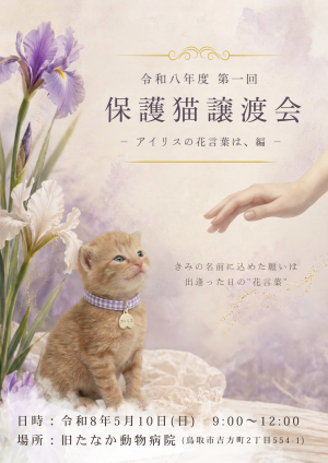 令和8年度代位会保護猫譲渡会のチラシ