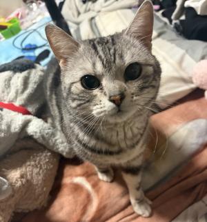 あめの写真