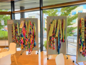 R7展示2