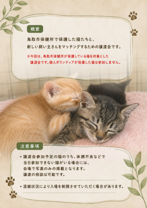 譲渡会ポスターウラ