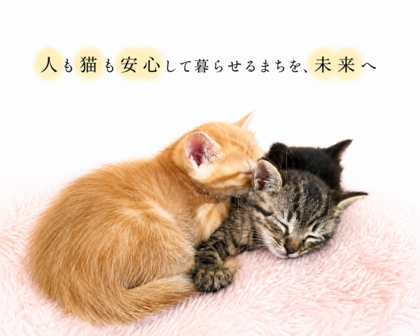 クラウドファンディング型ふるさと納税 トップ写真