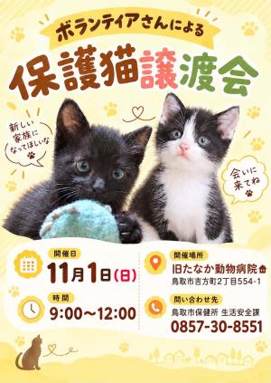 ボランティアさんによる保護猫譲渡会のチラシ表