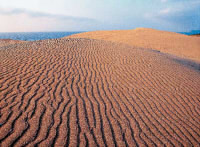  山陰海岸ジオパークが「世界ジオパーク」に加盟の画像