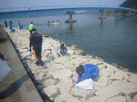 湖山池アダプトプログラムの画像1