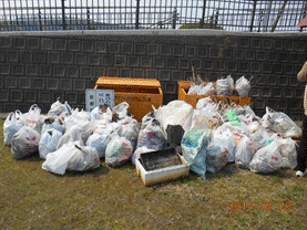 湖山池アダプトプログラムの画像2