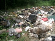 ごみをみだりに捨てることは禁じられていますの画像