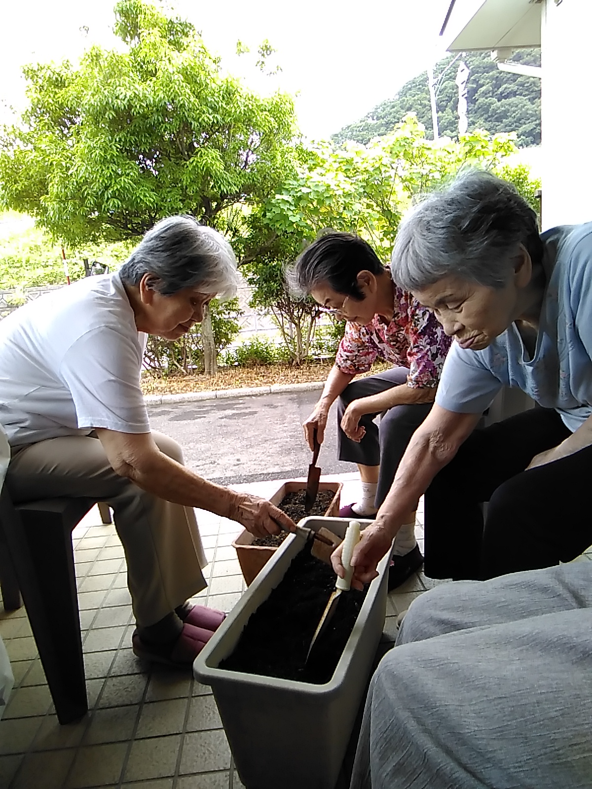 オレンジガーデニングプロジェクト2022の画像8