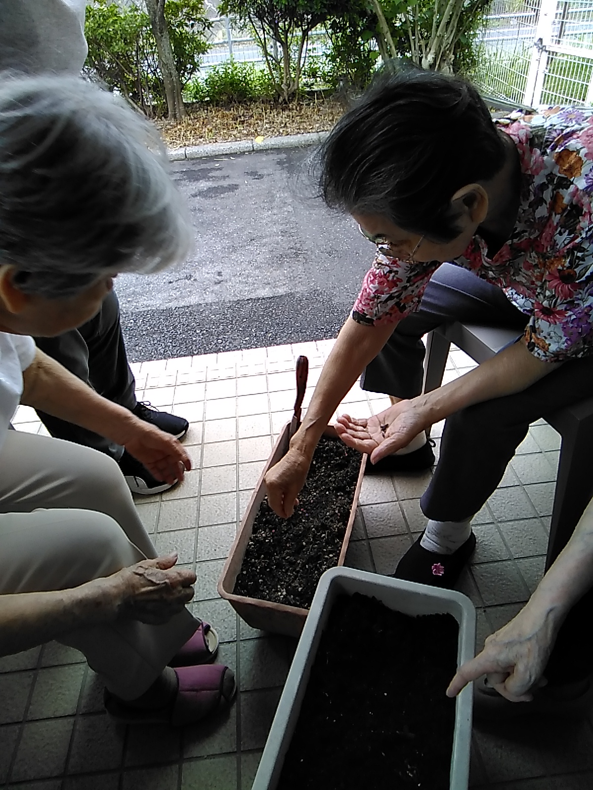 オレンジガーデニングプロジェクト2022の画像10