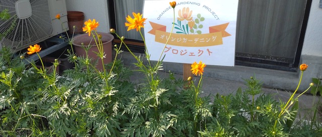 オレンジガーデニングプロジェクト2022の画像16