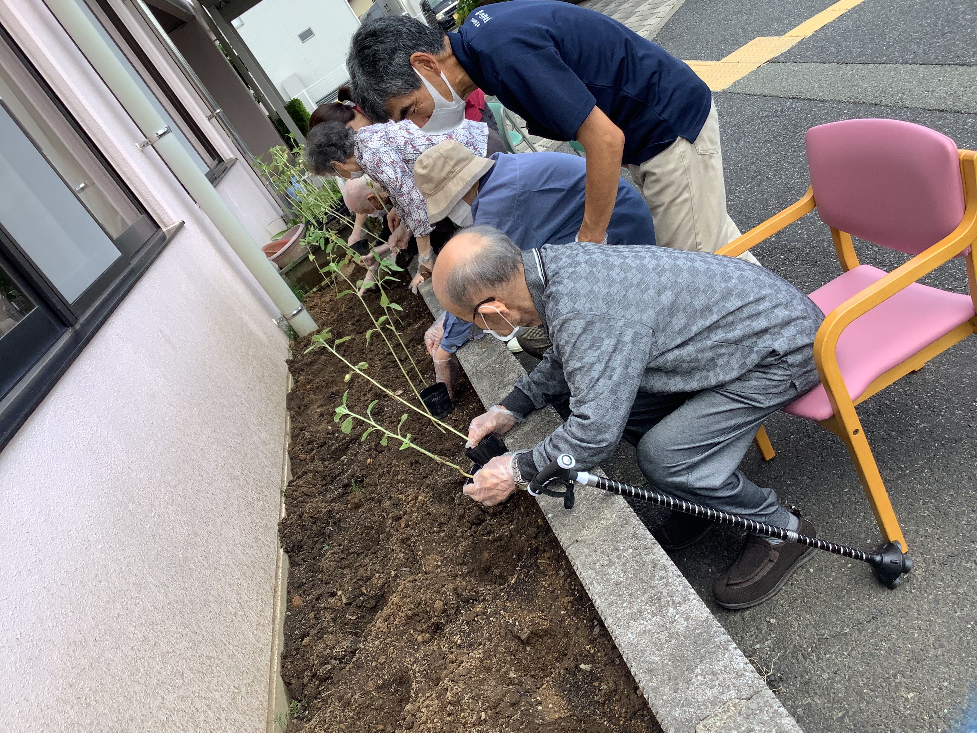 オレンジガーデニングプロジェクト2022の画像20