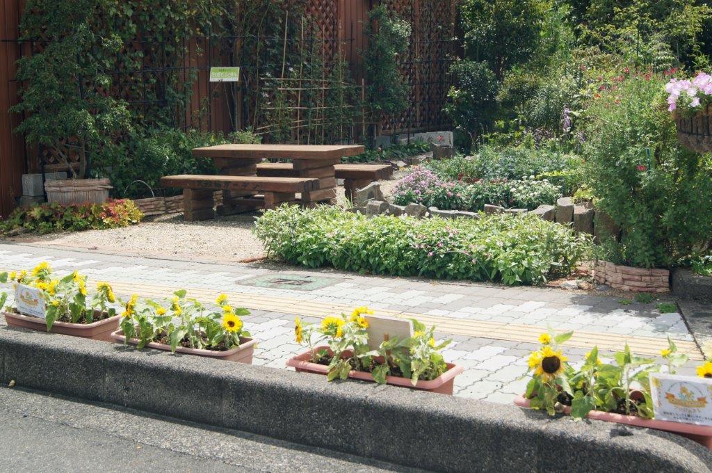 オレンジガーデニングプロジェクト2022の画像25