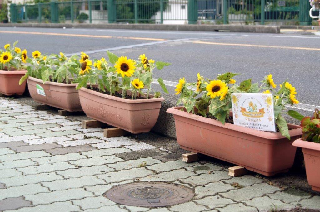 オレンジガーデニングプロジェクト2022の画像26