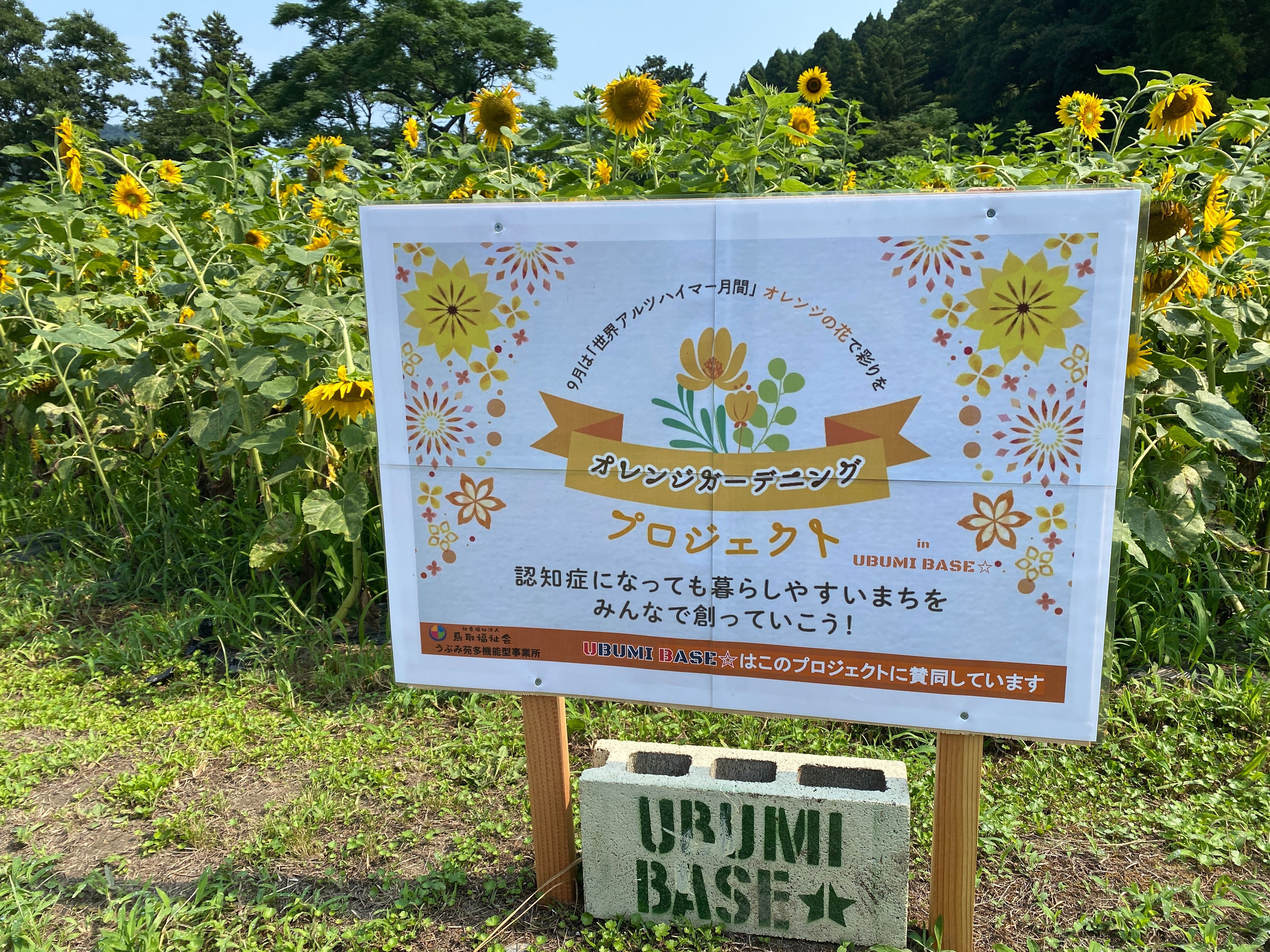 オレンジガーデニングプロジェクト2022の画像29