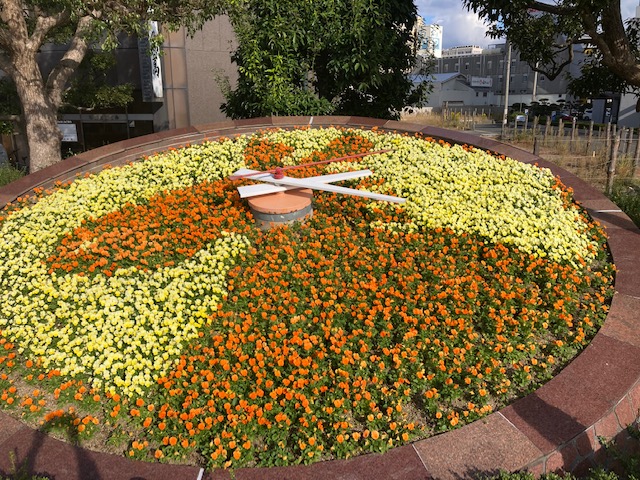 オレンジガーデニングプロジェクト2022の画像40