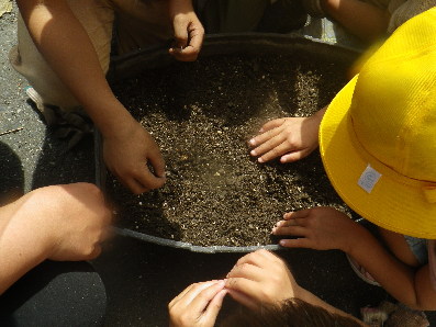 オレンジガーデニングプロジェクト2021の画像15