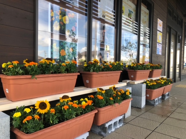 オレンジガーデニングプロジェクト2021の画像30