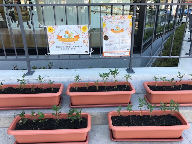 オレンジガーデニングプロジェクト2020の画像4