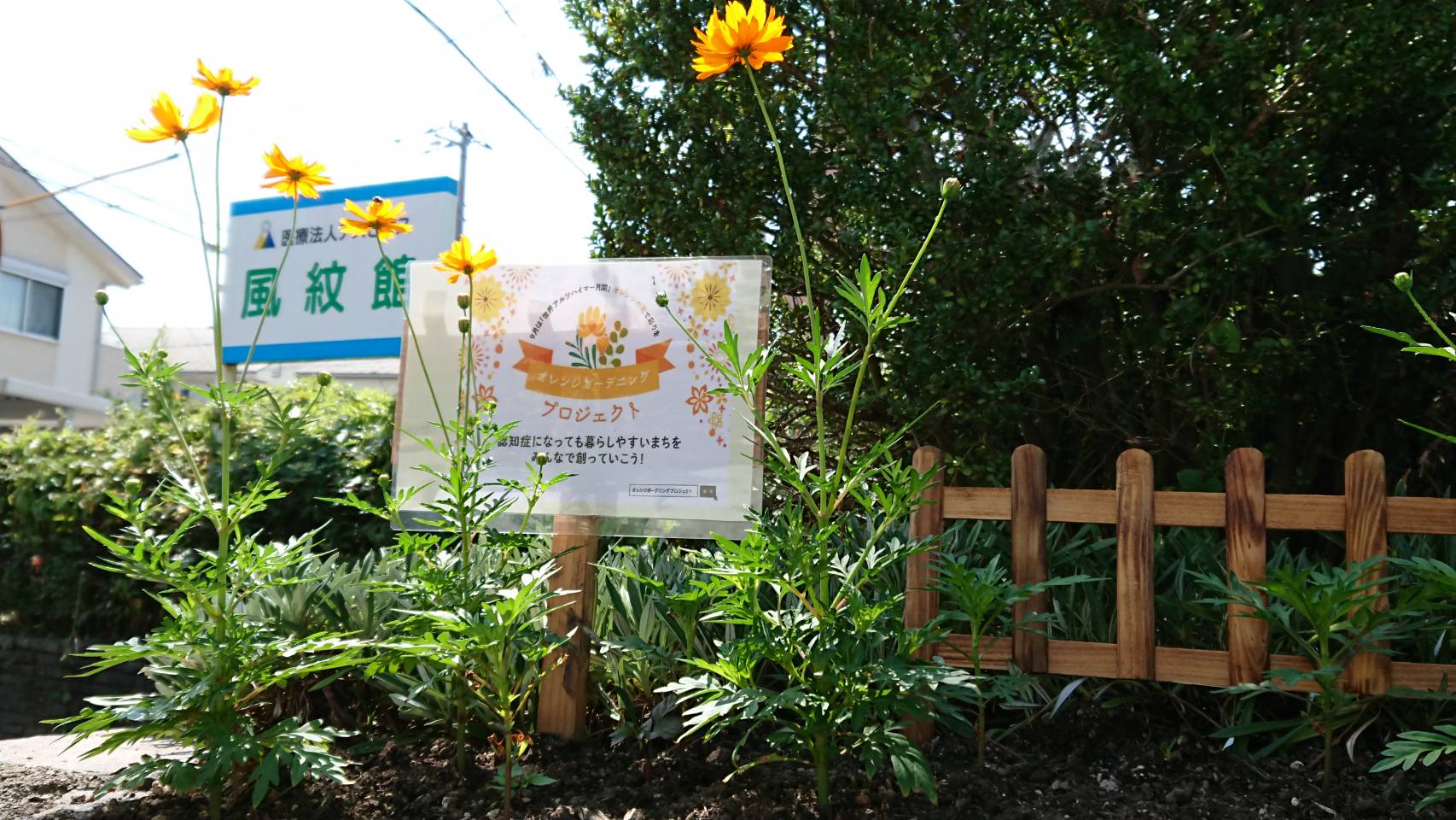 オレンジガーデニングプロジェクト2020の画像5