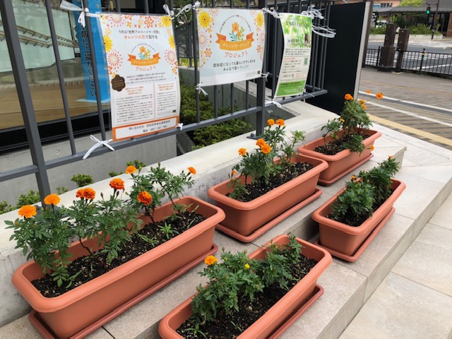 オレンジガーデニングプロジェクト2020の画像7