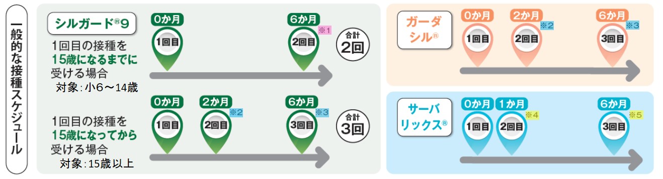 標準的な接種スケジュールの画像