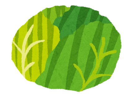 キャベツの画像