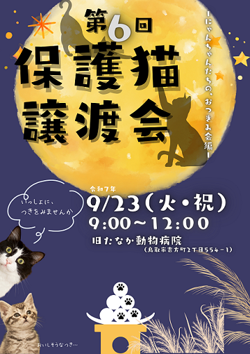 9月　第六回保護猫譲渡会　～にゃんちゃんたちの、おつまみ会編～ の画像1