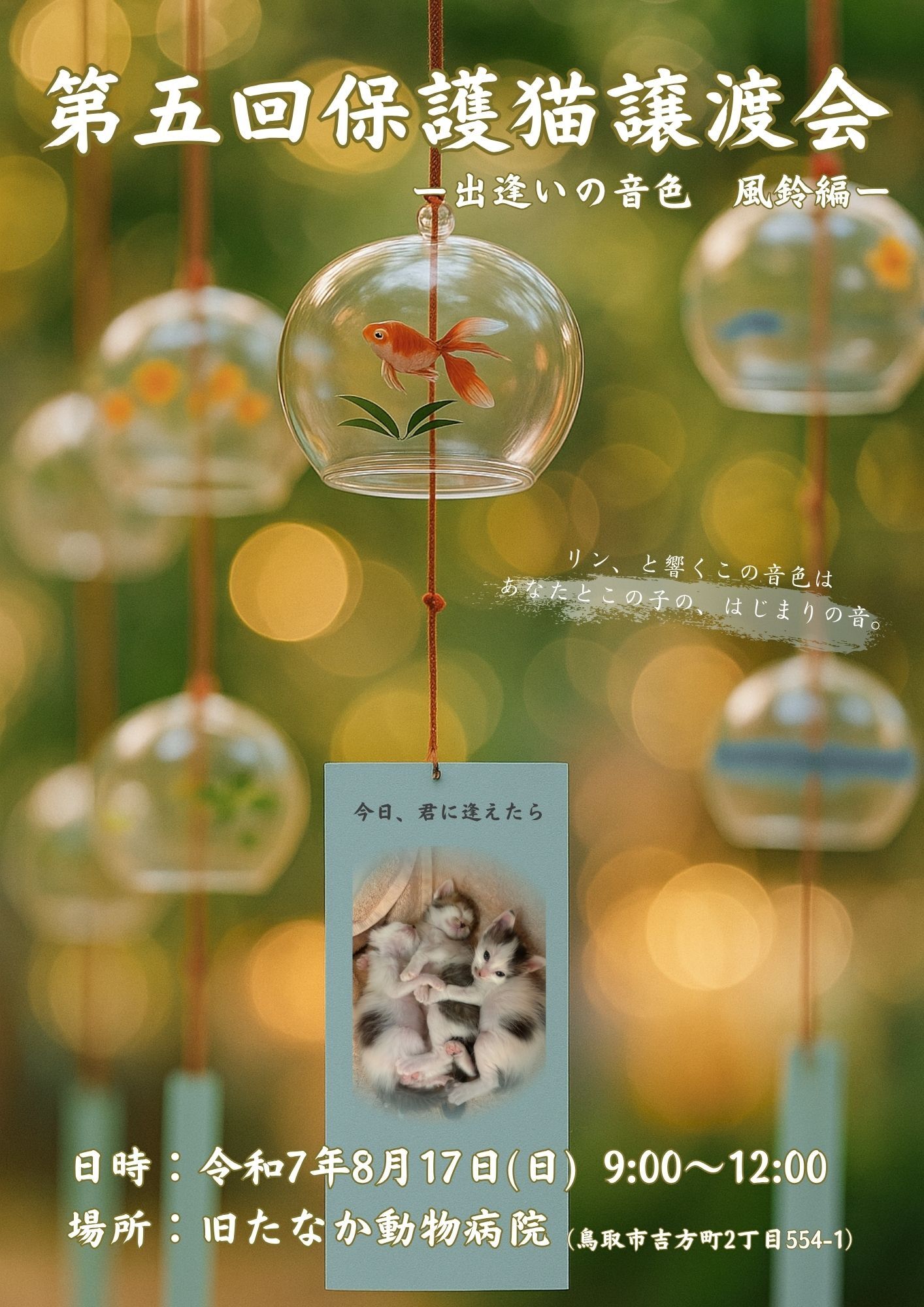 8月　第五回保護猫譲渡会　～出逢いの音色　風鈴編～　の画像1