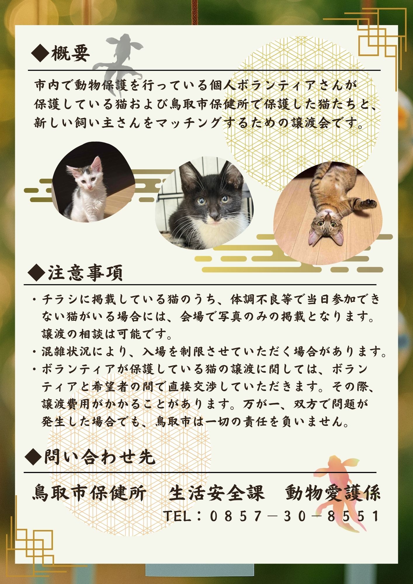 8月　第五回保護猫譲渡会　～出逢いの音色　風鈴編～　の画像2