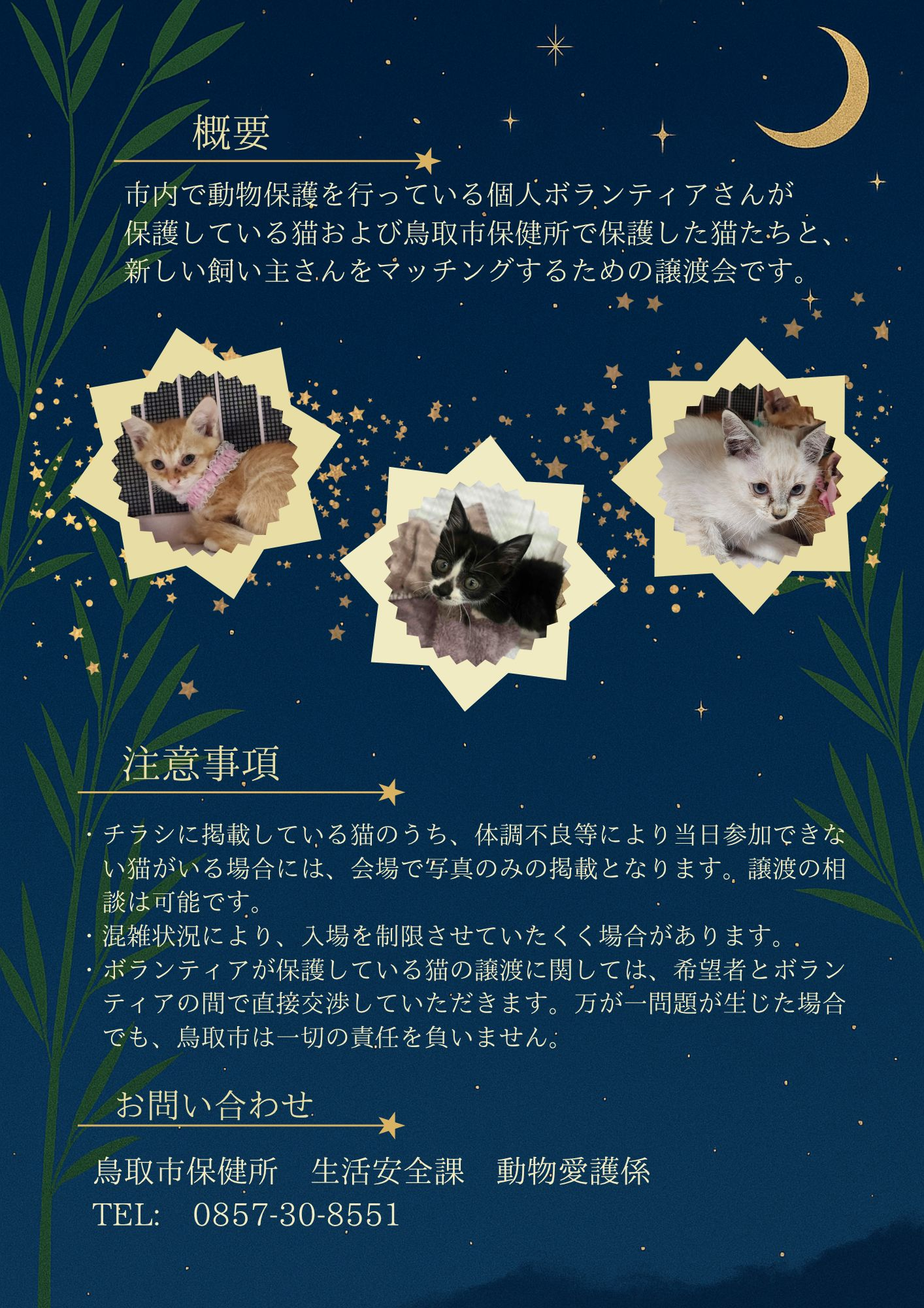 7月　第三回保護猫譲渡会　～猫に願いを　七夕編～　の画像2