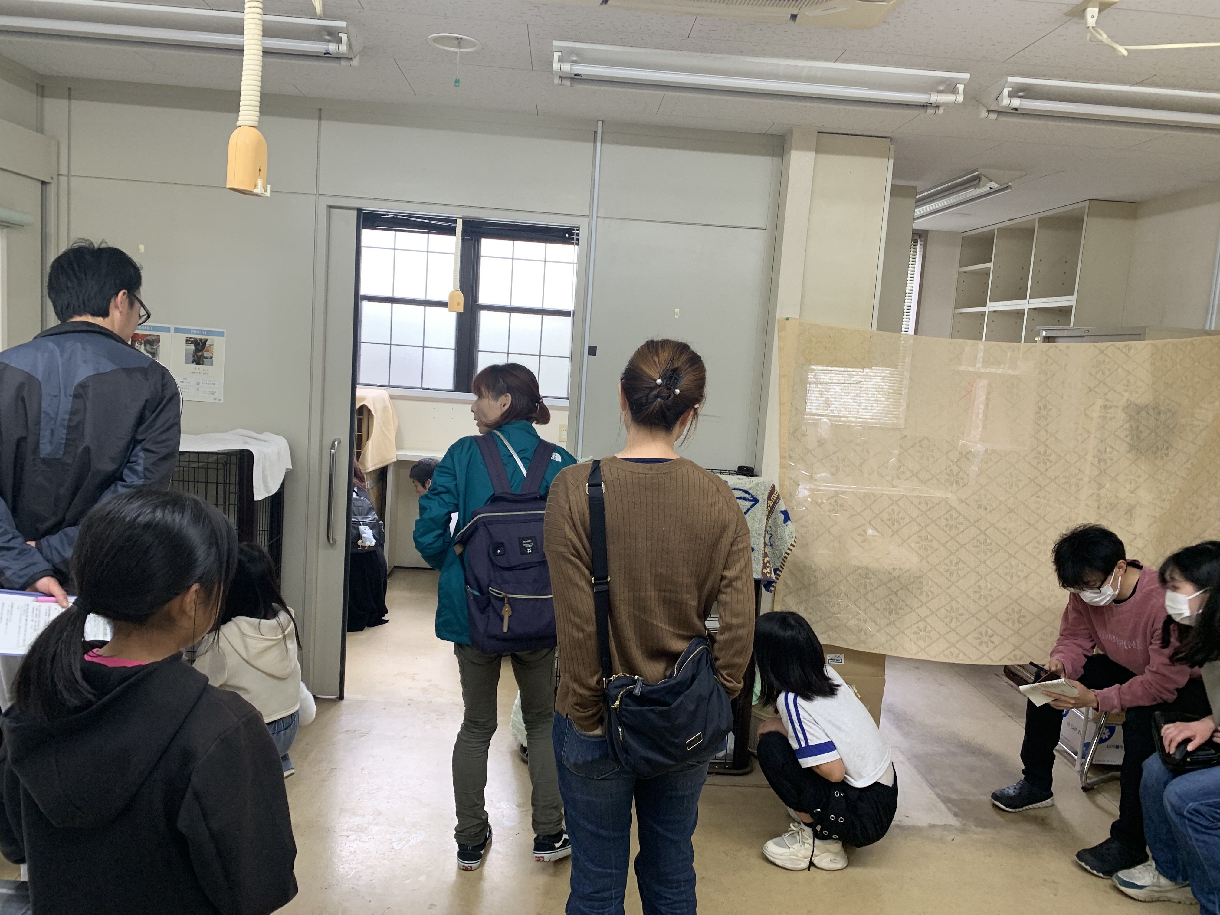 5月　第二回保護猫譲渡会　～この顔に“ピン！”ときたら編～　の画像3