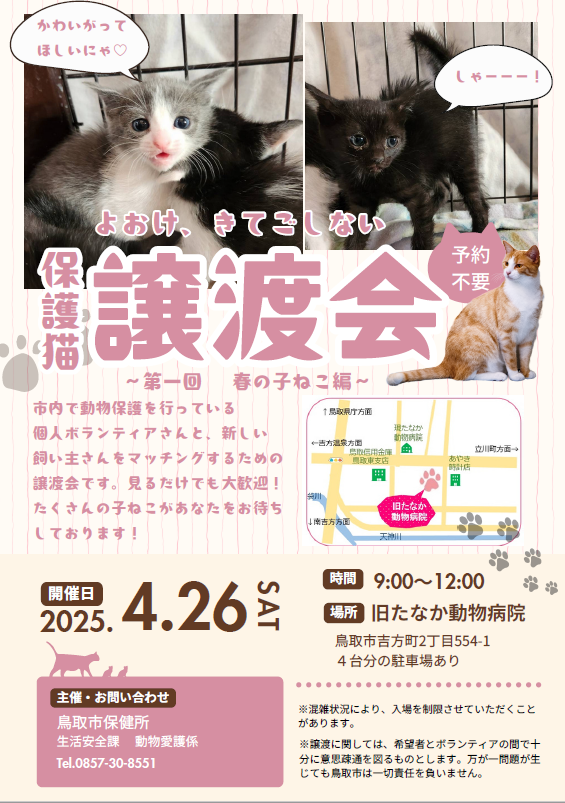 4月　第一回保護猫譲渡会　～春の子ねこ編～　の画像1