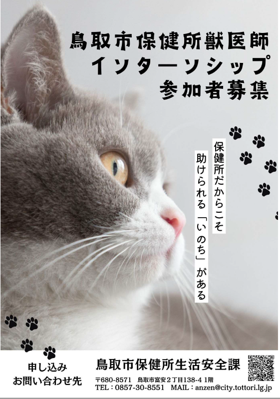 鳥取市保健所獣医師インターンシップ参加者募集の画像1