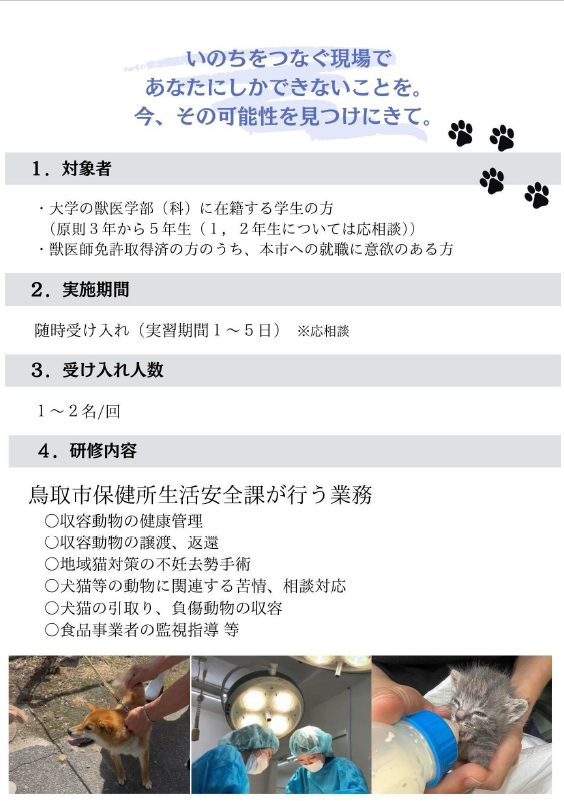 鳥取市保健所獣医師インターンシップ参加者募集の画像2