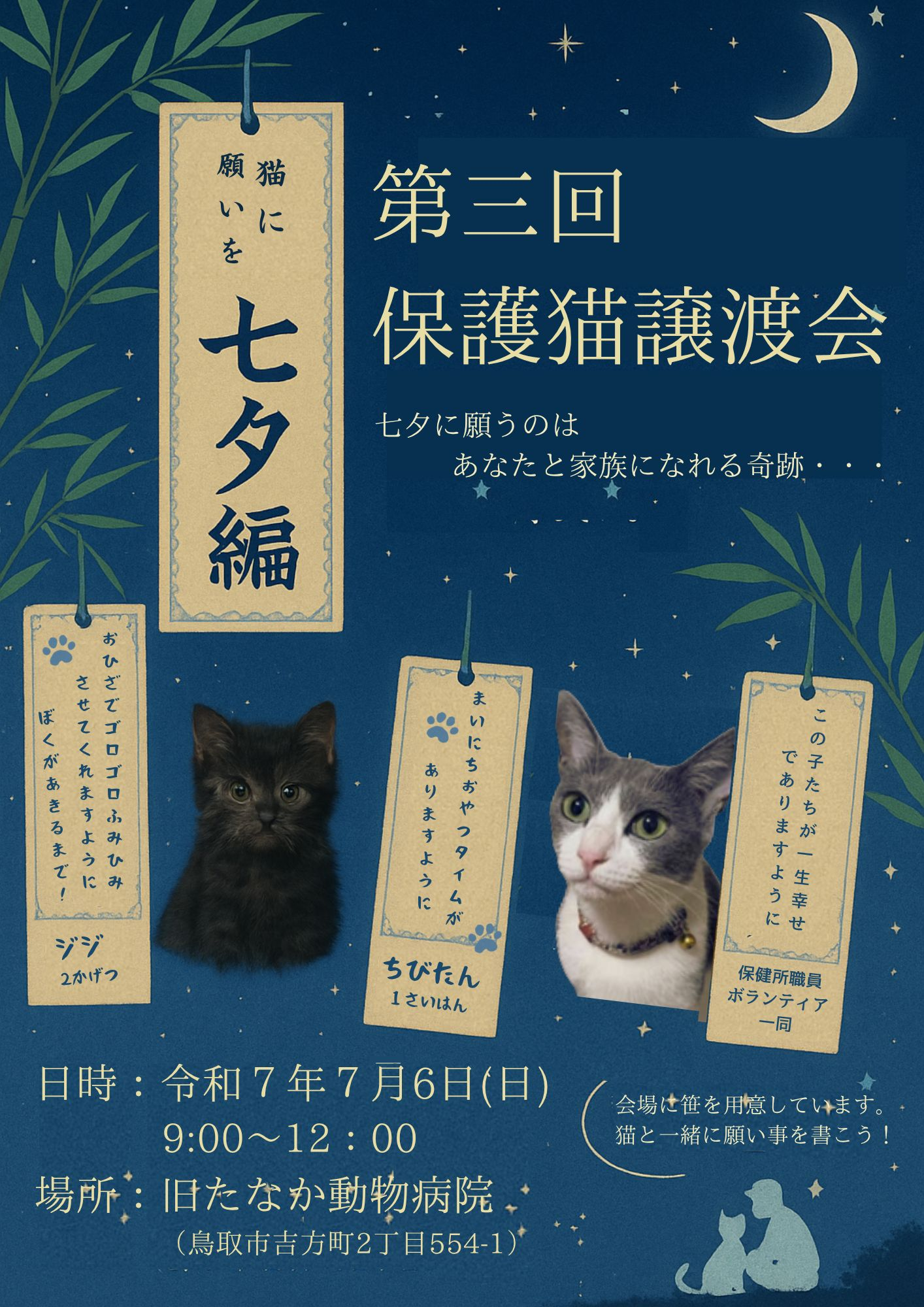 第三回保護猫譲渡会の画像1