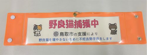 野良猫捕獲中の画像