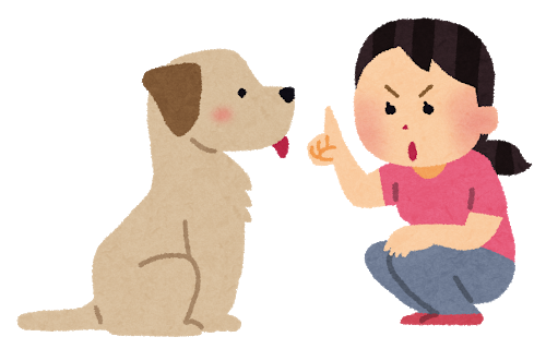 ペットの災害対策についての画像11