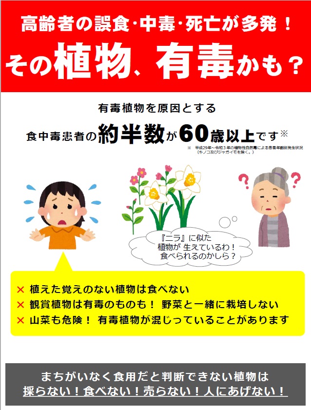有毒植物リーフレットの画像3