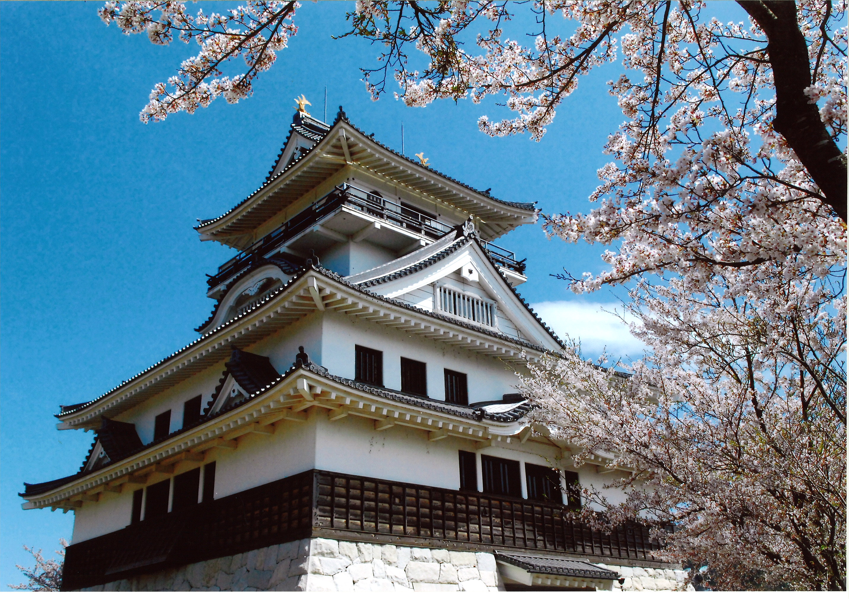 鳥取市河原町お城山展望台（河原城）の画像