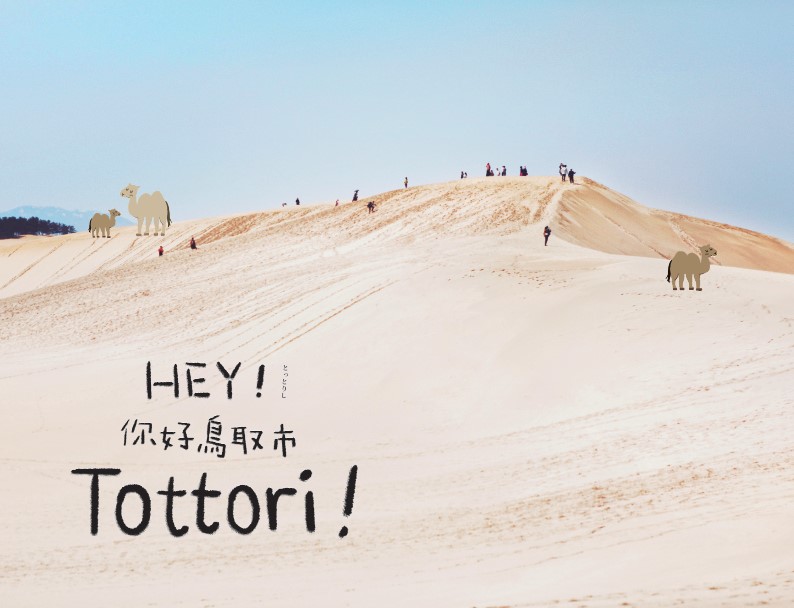 多言語版観光パンフレットの画像15