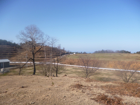 鳥取市青谷町いかり原牧場の画像