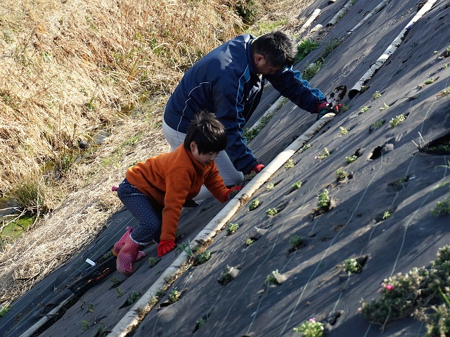 気高町会下地区　過去の活動状況の画像4