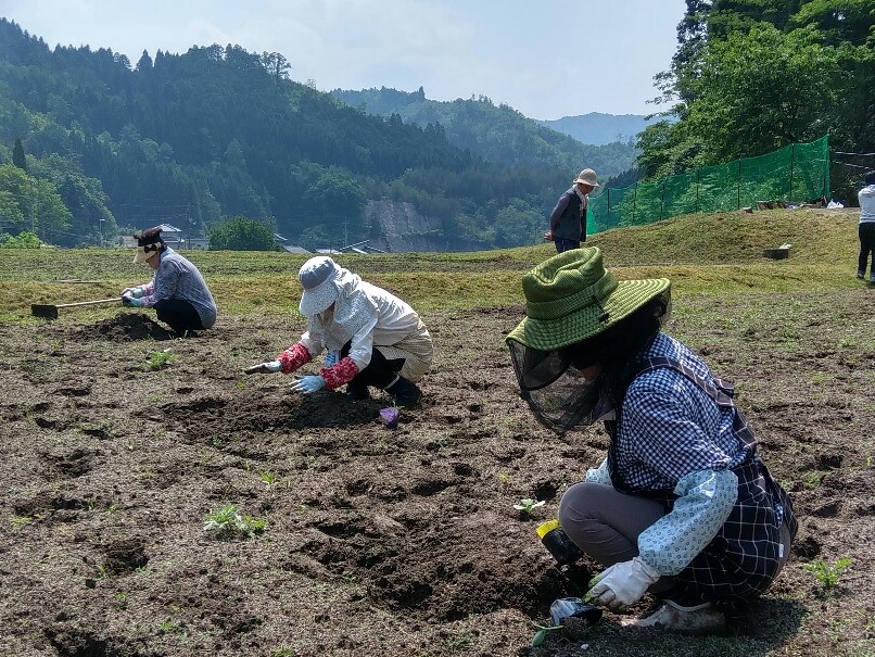 用瀬町屋住地区　過去の活動状況の画像1