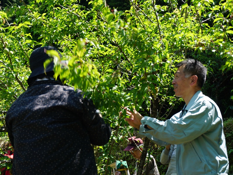 用瀬町屋住地区　過去の活動状況の画像2