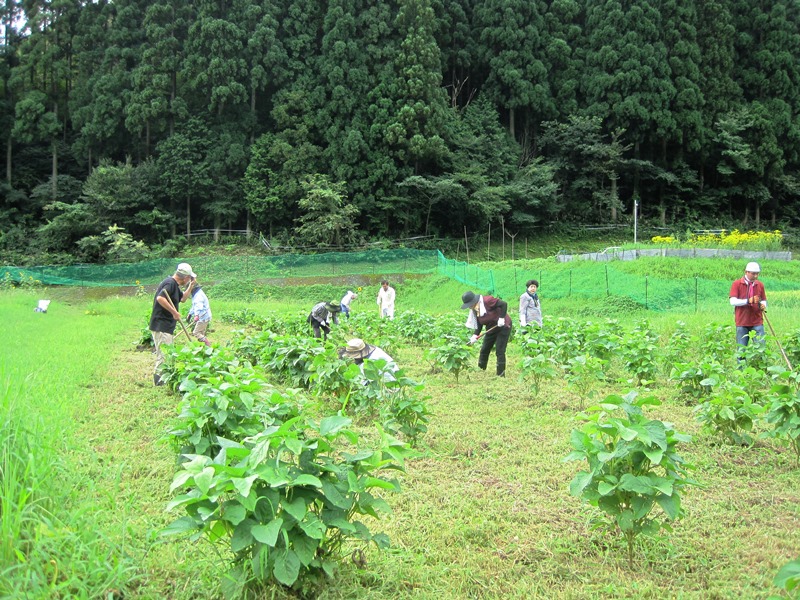 用瀬町屋住地区　過去の活動状況の画像3