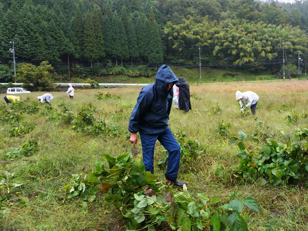 用瀬町屋住地区　過去の活動状況の画像4